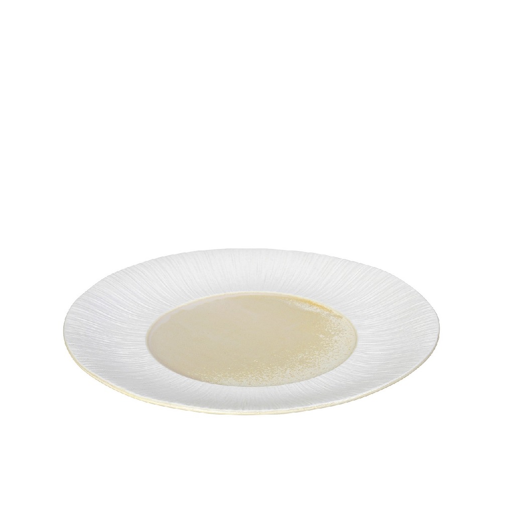 10014301-SOR101K4