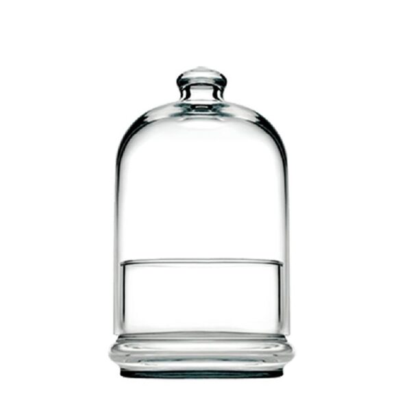 DIS. MIDI PATISSERIE BOWL W/DOME 505ML H:19 D:11,8CM P/192 GB1.OB4