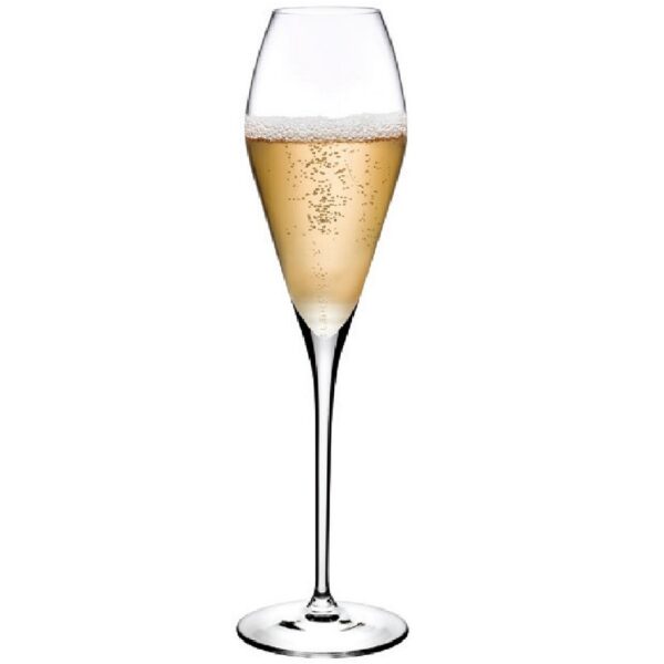 NUDE FANTASY CHAMPAGNE SET6 290CC H:27 P/360 GB6.OB12.