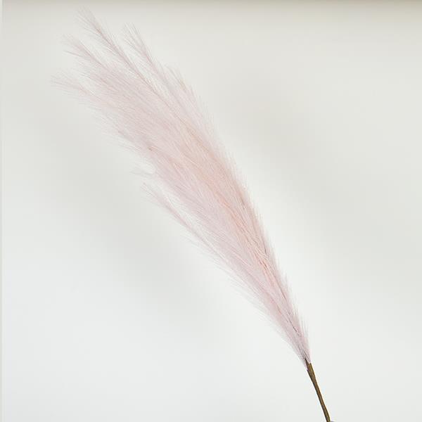 ΚΛΑΔΙ ΠΑΜΠΑΣ ΡOZ 112cm